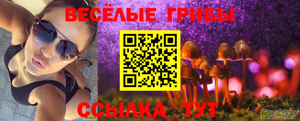 Псилоцибиновые грибы Psilocybine cubensis Артёмовский